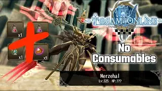 [Toram Online] Merzehal Solo Knuckle No Consumables (10:27)