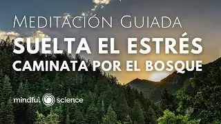 🎧Suelta el estrés: Caminata por el bosque/RELAJA TU MENTE/Mindfulness en español-Meditación Guiada