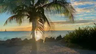 8 MINUTE ABUNDANCE MEDITATION 😌🙏🏾💰