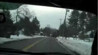 Screamin' Cheetah Wheelies - Halcyon Days