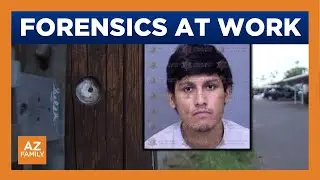 Expert explains how Phoenix police created murder suspect&rsquo;s profile