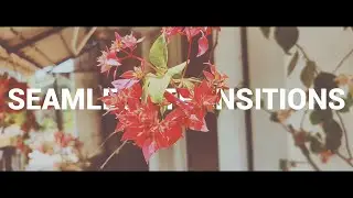 OnePlus 6 Cinematic 4k | shot on oneplus 6 | CINEMATIC VIDEO