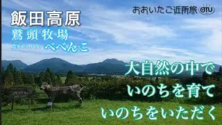 【おおいたご近所旅】 九重・飯田高原〜大自然に囲まれて いのちを育て いのちをいただく。／鷲頭牧場・農家レストランべべんこ