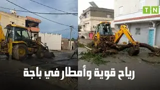 باجة: سقوط  الأشجار والأسلاك الكهربائية بسبب الرياح  القوية والأمطار 