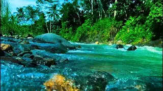 Mountain River Waterfall Flowing 24/7. Water Sounds, Nature White Noise. River Sounds for Sleeping.