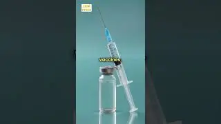 Pharmaceutical Products Export From India | Top Export Product | Import Export