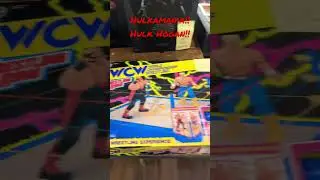 Crazy Vintage Hulk Hogan WWF Wrestling Toys At A Huge Ohio Toy Show!