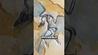 The Craziest Fossil Ever Found 🤯