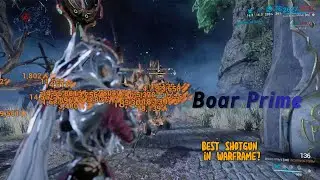 Boar Prime Build #warframe #gaming