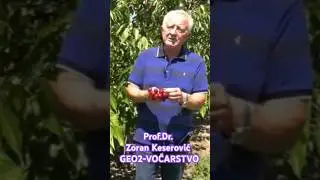 GEO2-Vocarstvo Prof.Dr. Zoran Keserovic #voce #geo2 #olmix #viralvideo #djubrivo