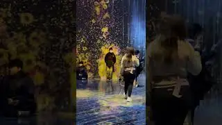 Teamlab Borderless Digital Art Museum. Projection Mapping 2025