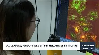'It's gut-wrenching': life-saving neurological research on line with NIH funding cuts, UW leaders