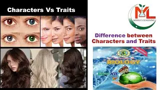 Difference between Characters and traits | Character VS Traits