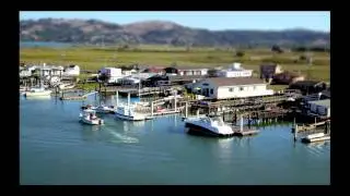 MARINature