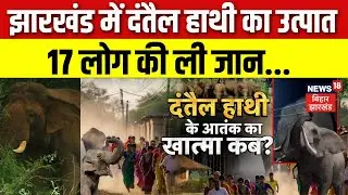 Elephant Herd Jharkhand : झारखंड में 7 दिन से हाथी मचा रहा उत्पात, 17 लोग की दंतैल हाथी ने ली जान...