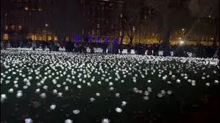Ever After Garden - London - Dec 2024