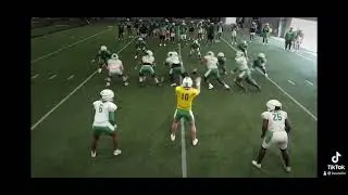 Christopher Brown Spring highlights 6&rsquo;1 290