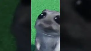 ah piscadinha