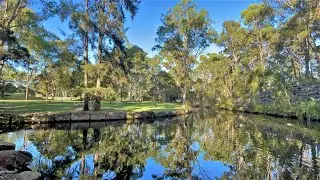 Central Gardens: A Virtual Walk (Slow TV)