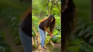 My village 🌳 #SlowLiving#PeacefulMoments#NatureVibes#QuietLife#NatureWalk#RelaxingVideo#POVNature