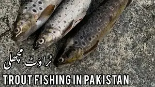 Trout Fishing in Gilgit | Pakistan Travel 2021| GB 2021|  Travel Vlog 2021| Pakistan Tourism 2021