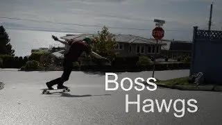 Boss Hawgs