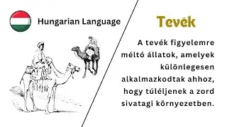 Camels Listening & Reading Passage | Hungarian Language | Slowly