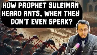 How&nbsp;Prophet&nbsp;Suleiman&nbsp;heard&nbsp;ants,&nbsp;when&nbsp;they&nbsp;don&rsquo;t&nbsp;even&nbsp;speak? #ant #kingsolomon #suleiman