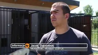 Hotel dla psów pomysł na biznes i pasja