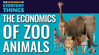 68. Zoo Animals | The Economics of Everyday Things
