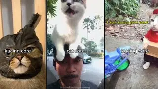 Kucing Core Full Movie 