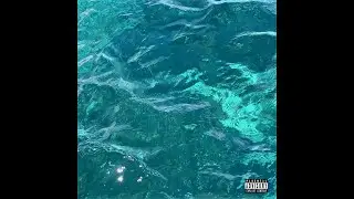 Brusselee-idkkkkk (prod. @prodbywolf2) [Official Audio]