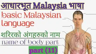 (malay language) body parts.  मलेसिया टु नेपाल भाषा । Nepal to Malaysia language.