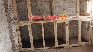 New cage ka kaam shoro🥰||konse bird Leke ayi