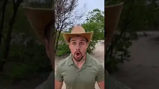 Primitive Tribe Makes Powerful Bow in Minutes | Traditional Survival Skills