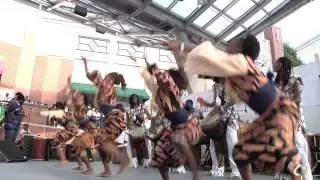 FestAfrica 2013 Short Video - www.FestAfricaUSA.com