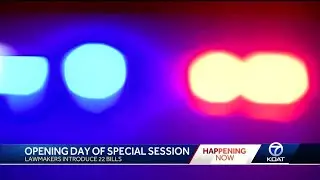 Special Session Day 1 Recap