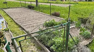 Prepping the Garden and Planting Potatoes | Relaxing Video