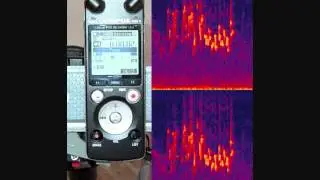 TEST Sony m10 Sony d50 Roland r05 Olympus LS7 Zoom H1 internal microphones Blackcap Song