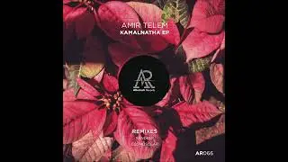PREMIERE: Amir Telem - Jagannatha (Original Mix) [Aftertech Records]