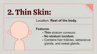 What is Thick Skin and Thin Skin?