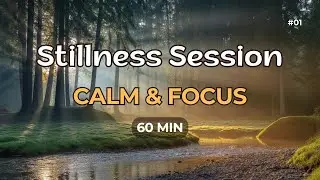 Stillness Session #1   Calm & Focus   60 Min
