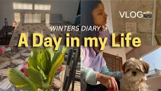 #vlog ||A Day in my Life🌱||Winter Diary✨| Routine| aesthetic✨| winter-season| Productivity #trending