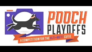 Pooch Playoffs Voting 2025