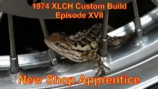 1017 Новый ученик магазина