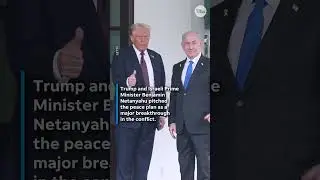 Trump gives Hamas ultimatum to accept peace proposal #Shorts