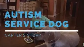 Autism Service Dog Feature: Carter's Story