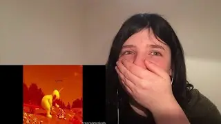 Best Memes Compilation V44 Reaction (ParaReact REUPLOAD)