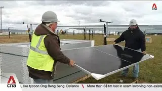 American solar industry powers through despite Trump's policy reversals