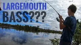 searching for Large Mouth Bass in a small Zimbabwean dam! (never fished before)